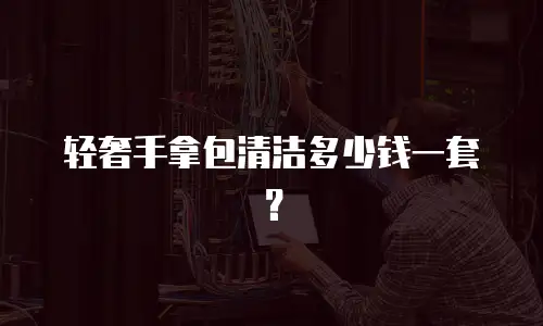 轻奢手拿包清洁多少钱一套？