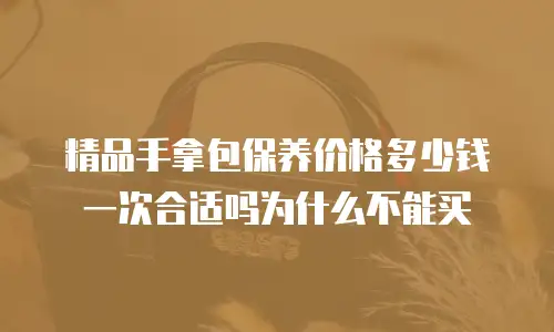 精品手拿包保养价格多少钱一次合适吗为什么不能买