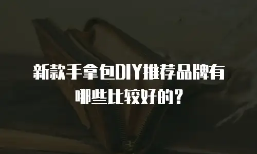 新款手拿包DIY推荐品牌有哪些比较好的？