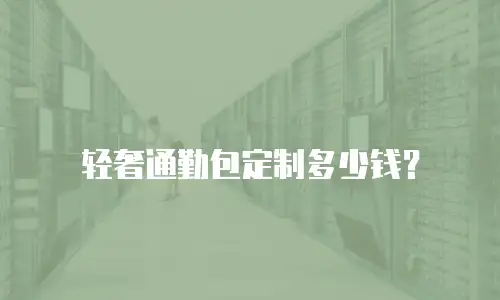 轻奢通勤包定制多少钱？