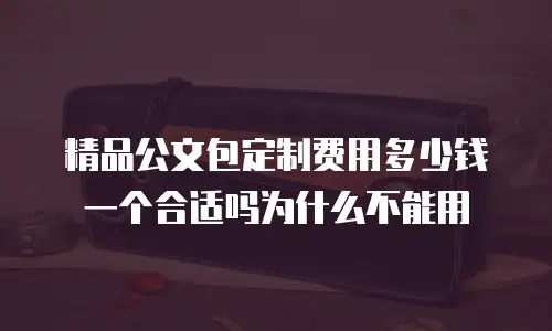 精品公文包定制费用多少钱一个合适吗为什么不能用