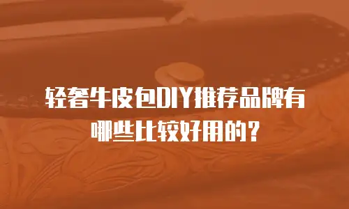轻奢牛皮包DIY推荐品牌有哪些比较好用的？