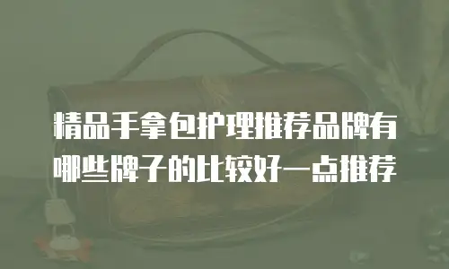 精品手拿包护理推荐品牌有哪些牌子的比较好一点推荐