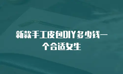 新款手工皮包DIY多少钱一个合适女生