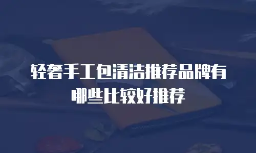 轻奢手工包清洁推荐品牌有哪些比较好推荐
