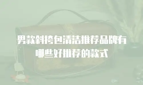 男款斜挎包清洁推荐品牌有哪些好推荐的款式