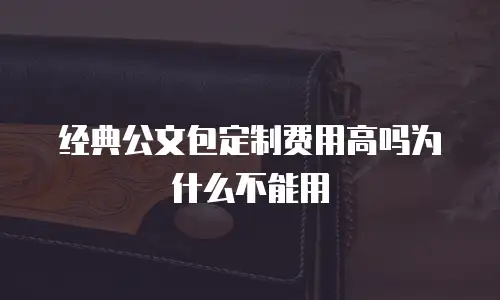经典公文包定制费用高吗为什么不能用
