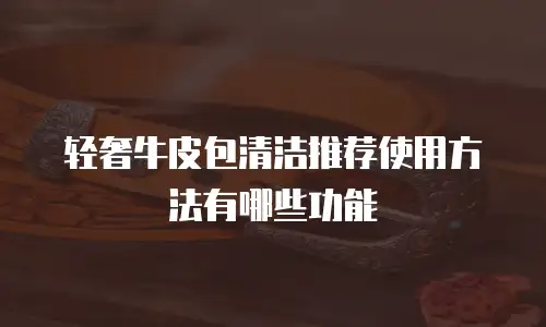 轻奢牛皮包清洁推荐使用方法有哪些功能