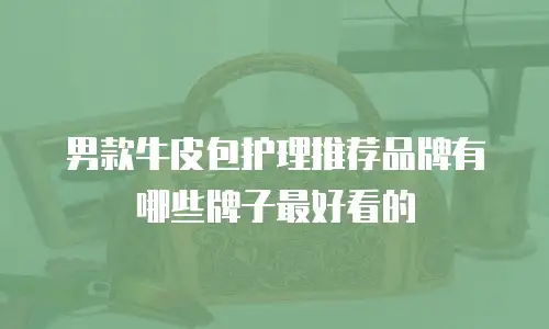 男款牛皮包护理推荐品牌有哪些牌子最好看的