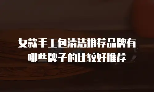 女款手工包清洁推荐品牌有哪些牌子的比较好推荐