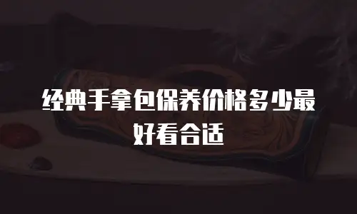 经典手拿包保养价格多少最好看合适