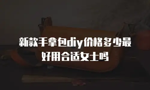 新款手拿包diy价格多少最好用合适女士吗