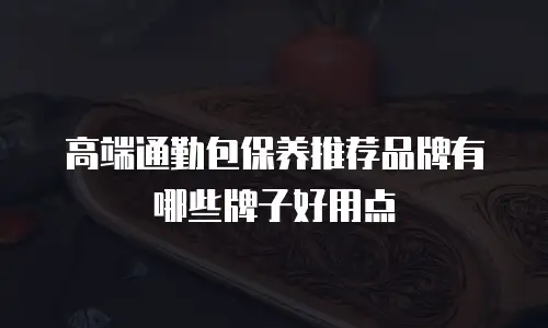 高端通勤包保养推荐品牌有哪些牌子好用点