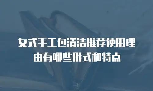 女式手工包清洁推荐使用理由有哪些形式和特点