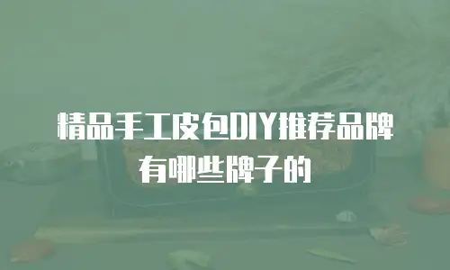 精品手工皮包DIY推荐品牌有哪些牌子的
