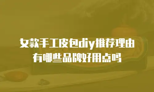 女款手工皮包diy推荐理由有哪些品牌好用点吗