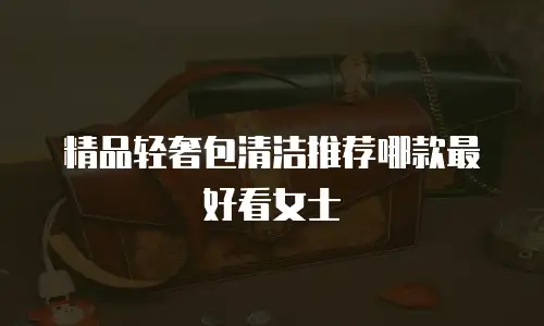 精品轻奢包清洁推荐哪款最好看女士