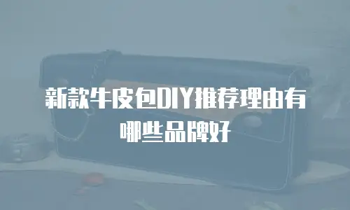 新款牛皮包DIY推荐理由有哪些品牌好