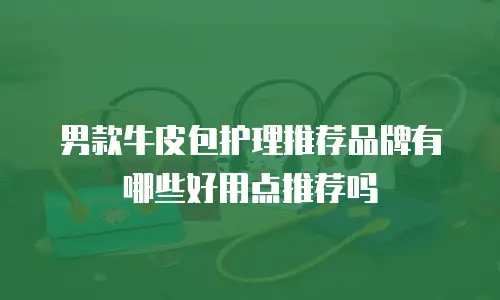 男款牛皮包护理推荐品牌有哪些好用点推荐吗
