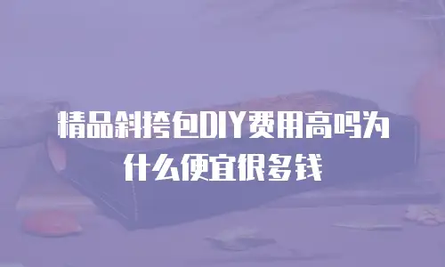 精品斜挎包DIY费用高吗为什么便宜很多钱