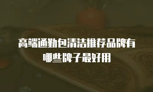 高端通勤包清洁推荐品牌有哪些牌子最好用