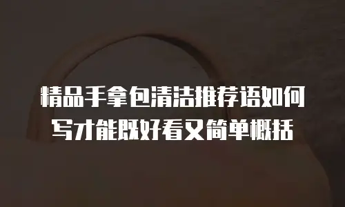精品手拿包清洁推荐语如何写才能既好看又简单概括