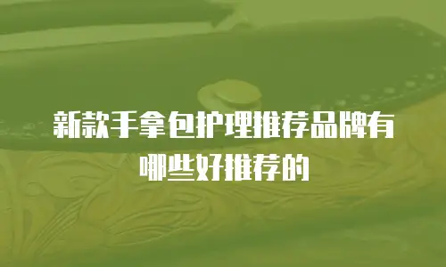 新款手拿包护理推荐品牌有哪些好推荐的