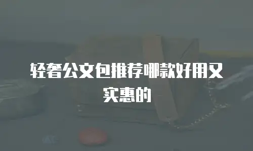 轻奢公文包推荐哪款好用又实惠的