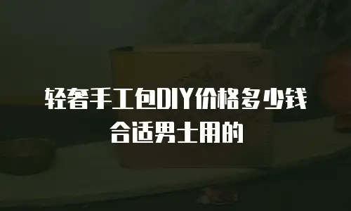 轻奢手工包DIY价格多少钱合适男士用的