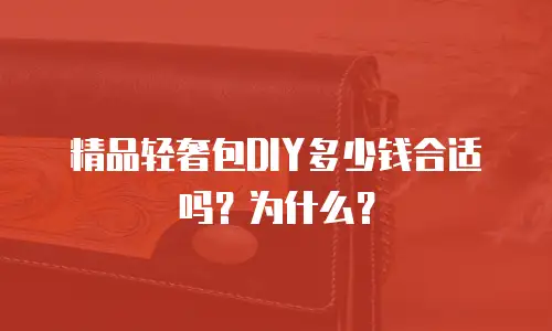 精品轻奢包DIY多少钱合适吗？为什么？