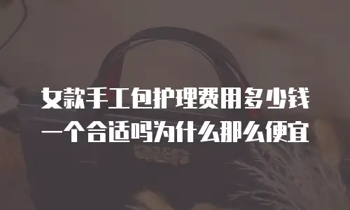 女款手工包护理费用多少钱一个合适吗为什么那么便宜