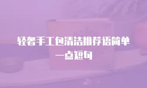 轻奢手工包清洁推荐语简单一点短句