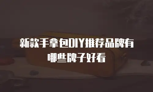 新款手拿包DIY推荐品牌有哪些牌子好看