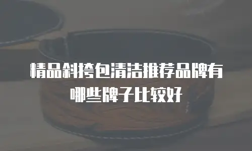 精品斜挎包清洁推荐品牌有哪些牌子比较好