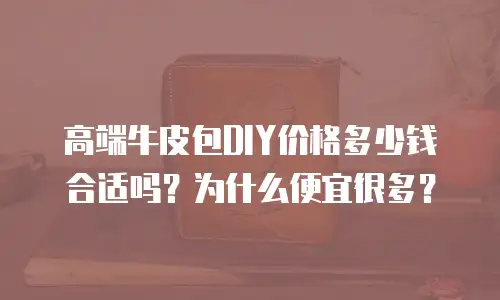 高端牛皮包DIY价格多少钱合适吗？为什么便宜很多？