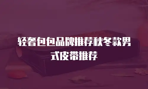 轻奢包包品牌推荐秋冬款男式皮带推荐