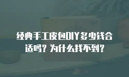 经典手工皮包DIY多少钱合适吗？为什么找不到？