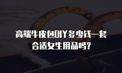 高端牛皮包DIY多少钱一套合适女生用品吗？