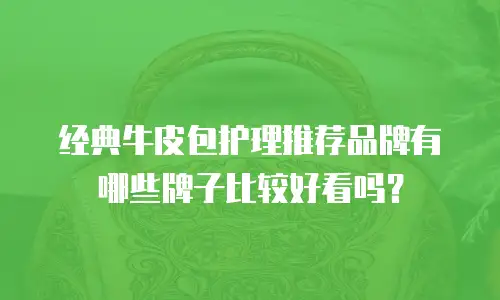 经典牛皮包护理推荐品牌有哪些牌子比较好看吗？
