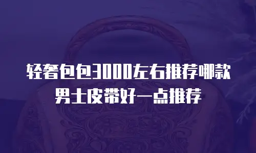 轻奢包包3000左右推荐哪款男士皮带好一点推荐