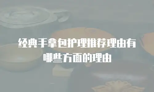 经典手拿包护理推荐理由有哪些方面的理由