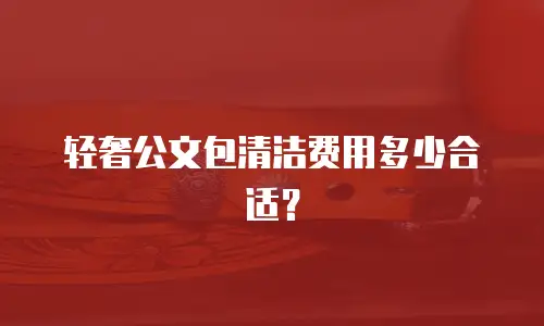 轻奢公文包清洁费用多少合适？