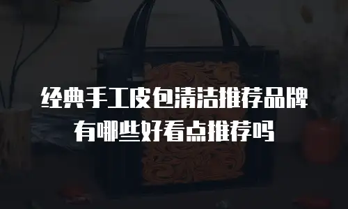 经典手工皮包清洁推荐品牌有哪些好看点推荐吗