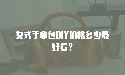 女式手拿包DIY价格多少最好看？