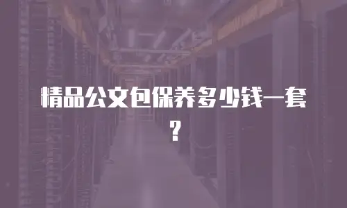 精品公文包保养多少钱一套？
