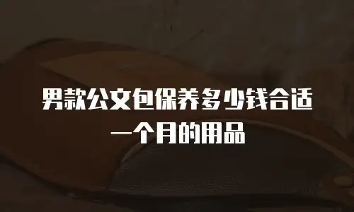 男款公文包保养多少钱合适一个月的用品