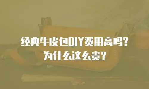 经典牛皮包DIY费用高吗？为什么这么贵？