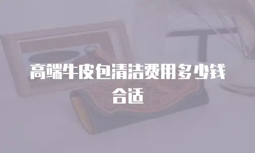 高端牛皮包清洁费用多少钱合适