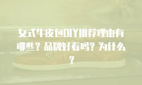 女式牛皮包DIY推荐理由有哪些？品牌好看吗？为什么？