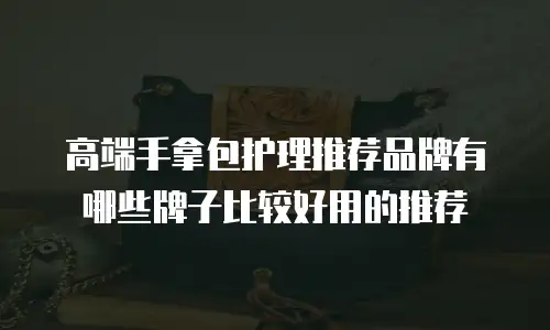 高端手拿包护理推荐品牌有哪些牌子比较好用的推荐